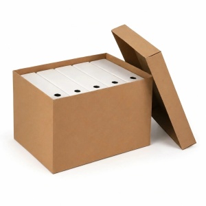Set 20 Cutii pentru Arhivare Cu Capac, 386x257x275mm,, Carton, CO3, Natur