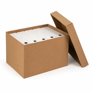 Cutie pentru Arhivare Cu Capac, 538x382x275mm,, Carton, CO5, Natur