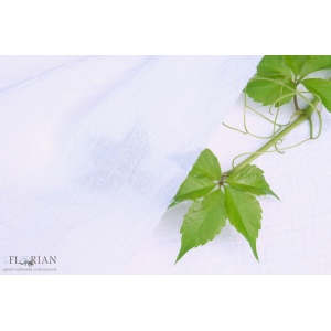 Cupon 75cm - Panza topita bumbac Calusar Alb - Img 2