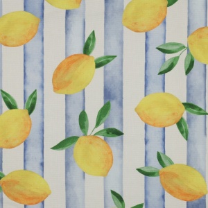 Material Canvas imprimat - Lemon Stripe - Img 5