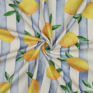 Material Canvas imprimat - Lemon Stripe - Img 2