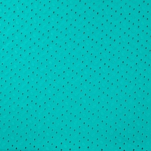 Cupon 44 cm - Bumbac brodat Constellation - Aqua
