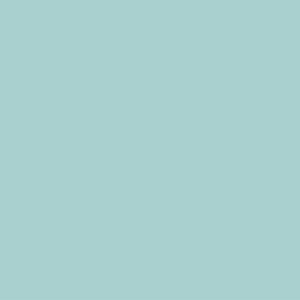 Cupon 85cm - Poplin bumbac uni - Mint - Img 2