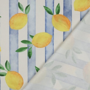 Material Canvas imprimat - Lemon Stripe - Img 3