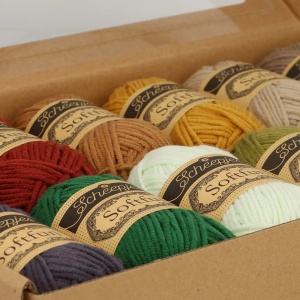 Pachet 12 sculuri x 20 gr - Scheepjes Softfun - Autumn Walk