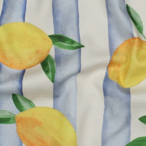 Material Canvas imprimat - Lemon Stripe
