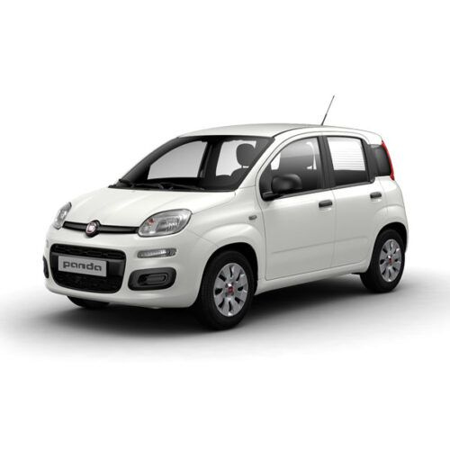 PANDA 2012-2024