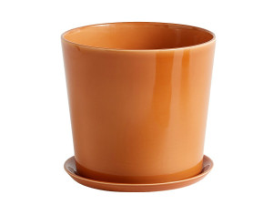 Botanical Plant Pot with Saucer [DEMO] - Img 3