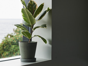 Flowerpot with Saucer - Green [DEMO] - Img 2