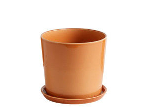 Botanical Plant Pot with Saucer [DEMO] - Img 4