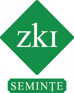 ZKI