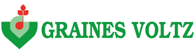 Graines Voltz