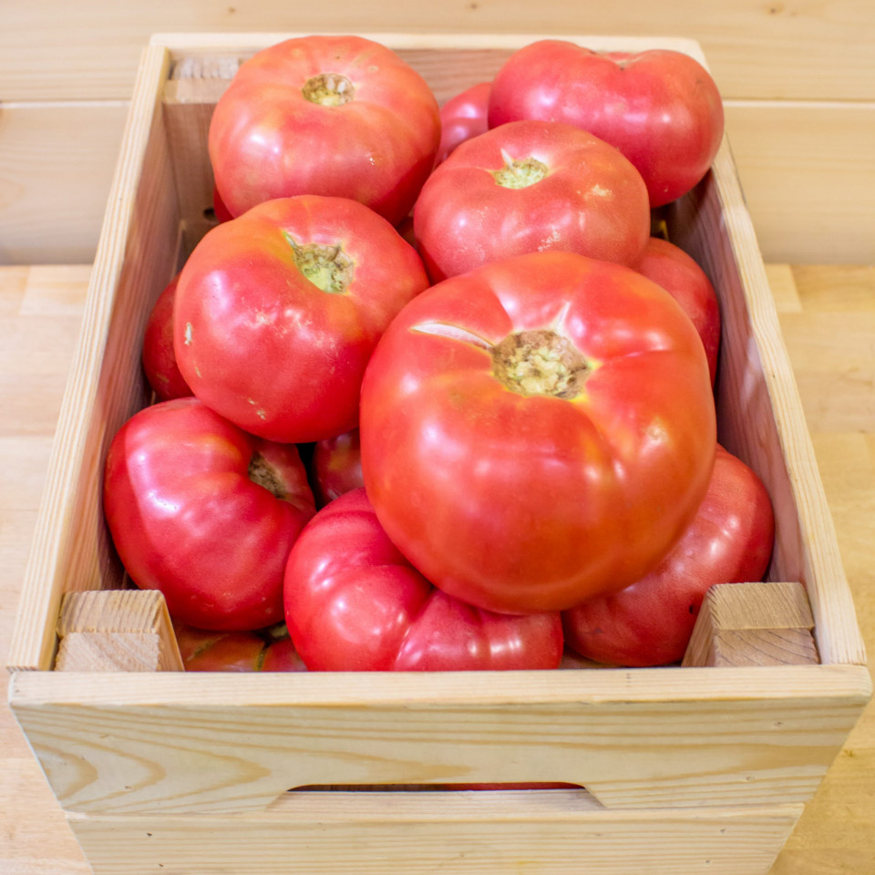 Rosii roz Pink Hall (50 seminte) tomate mari de culoare roze tip grasa beef