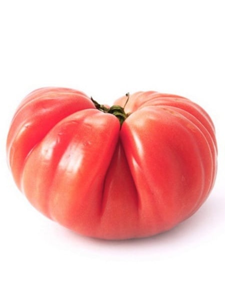 Altea Rosa (30 seminte) tomate cu fructe mari tip gigant grasa de culoare rozalie, crestere nedeterminata, Mascarell