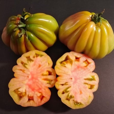 Kokoro F1 (5 seminte) rosii nedeterminate, adaptate culturilor protejate, Seklos