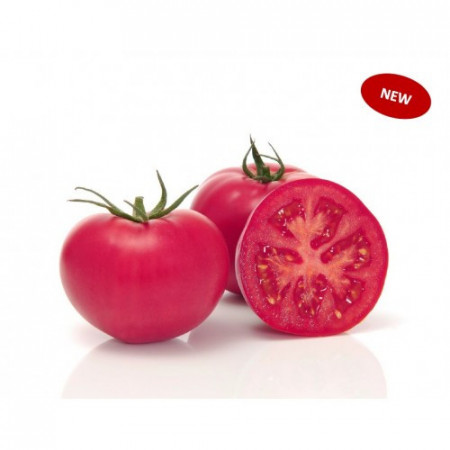 Pink Wand F1 (500 seminte) tomate roz extratimpurii nedeterminate partenocarpice, Sakata