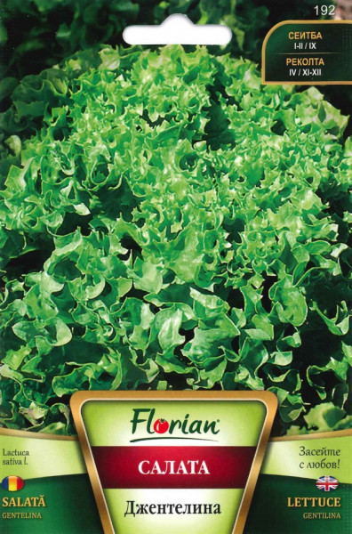 Salata creata GENTELINA - 2 gr - Seminte Salata Creata Soi Timpuriu de la Florian
