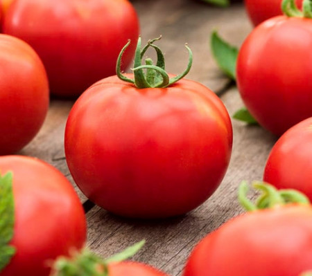 Krakus (300 seminte) tomate determinate, soi mediu inalt, potrivita pentru culturile protejate, dar si in camp, Polan