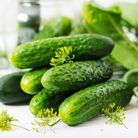 Odette F1 (20 seminte) hibrid timpuriu castraveţi cornichon, partenocarpic, Agrosel