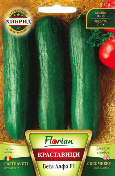 Castraveti BETA ALFA F1 - 1 gr - Seminte de Castraveti Hibrid semitimpuriu Florian Bulgaria