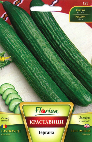 Castraveti Gergana (50 gr) Seminte de Castraveti soi bulgaresc timpuriu Florian Bulgaria