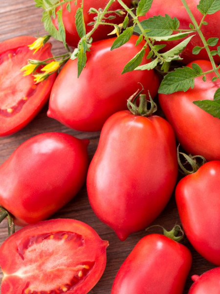 Malinowy Bosman (150 seminte) tomate determinate cilindrice, tip zmeura, soi mediu timpuriu, PlantiCo