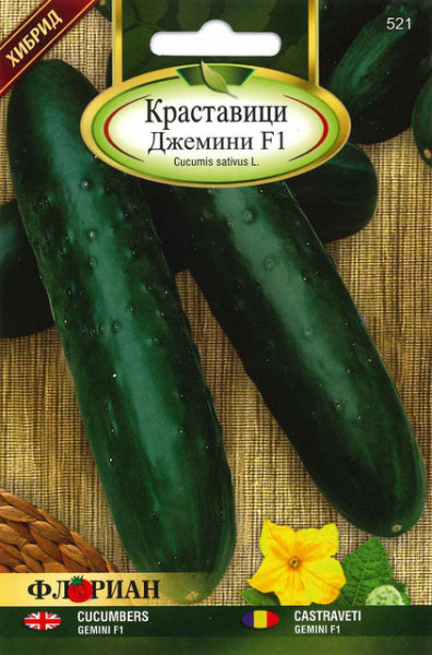 Castraveti Gemini F1 - 1 gr - Seminte de Castraveti Hibrid semitimpuriu Florian Bulgaria