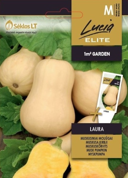 Laura (1 gr) seminte dovleac tip para, dimensiuni mici, pulpa portocalie, dulce, Seklos