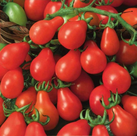 Radana (150 seminte) rosii tip cherry in forma de para, nedeterminate, Kertimag