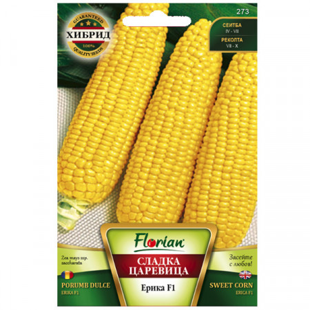 Erika F1 (1 kg) seminte porumb dulce zaharat hibrid extratimpuriu, stiuleti 20-22 cm, Florian