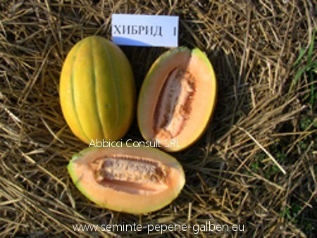 Hibrid 1 F1 (50 gr) Seminte de Pepeni Galbeni bulgaresti profesionale ...