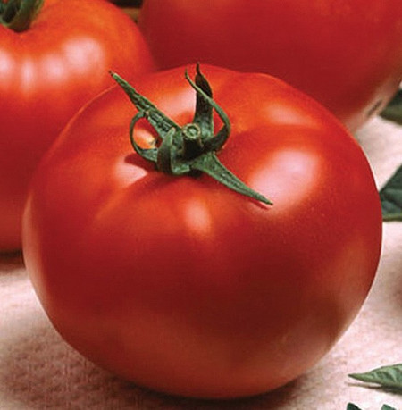 Optima F1 (20 seminte) de rosii cu crestere nedeterminata semitimpurii, Seminis