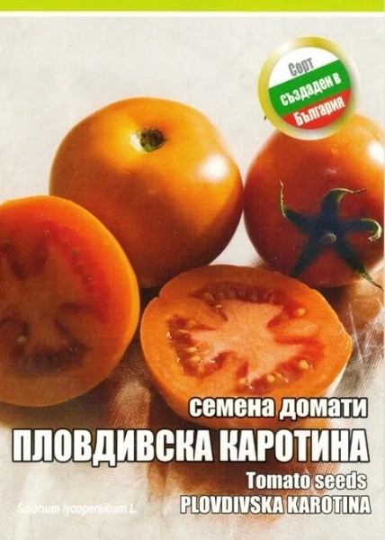 Plovdiv Karotina (10 seminte) rosii portocalii, mici, soi nedeterminat, cantitate mare de caroten, IZK Maritsa
