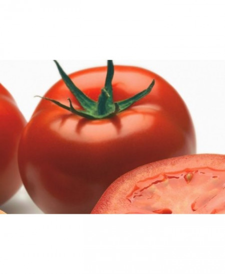 Logure F1 (100 seminte) tomate cu fructe putin aplatizate si un invelis de culoare rosu aprins foarte gustoase si suculente, Rijk Zwaan