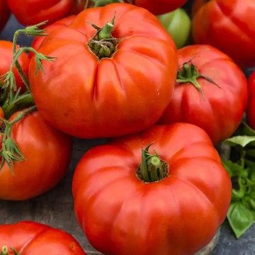 Beefsteak (150 seminte) tomate gigant rosu soi nedeterminat, Toraf - Img 3