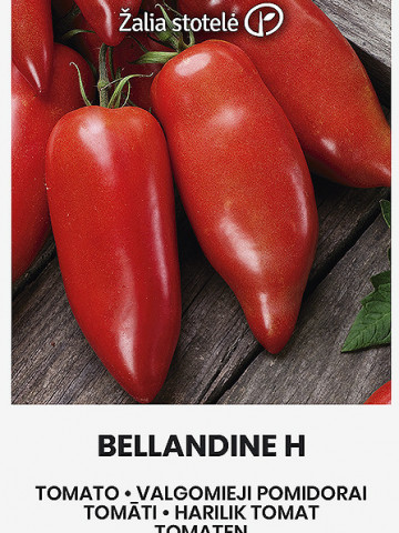 Bellandine F1 (7 seminte) de rosii cu fructe lungi in forma de corn, pulpa carnoasa, delicioasa, crestere nedeterminata, Clause - Img 4