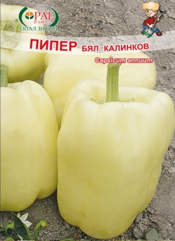 Byal Kalinkov (1500 seminte) ardei gras galben tip Dolma, soi semitimpuriu pana la tardiv, Opal - Img 4