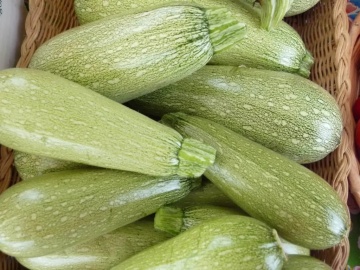 Genovese (10 seminte) soi mediu-timpuriu dovlecel verde deschis, foarte productiv, Seklos - Img 2