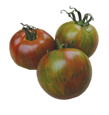 Kalypso BIO (25 seminte) tomate tigrate cu rosu-maroniu si verde, suculente, aciditate scazuta, aroma proaspata, ReinSaat - Img 5