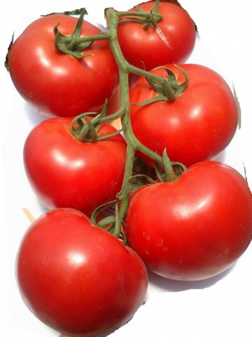 Mahitos F1 (10 seminte) tomate cu crestere nedeterminata de tip beef, Rijk Zwaan - Img 3