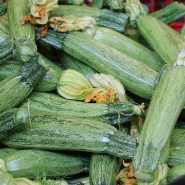 Nimba (10 seminte) soi timpuriu dovlecel verde deschis cu striatii inchise, productiv, Seklos - Img 4