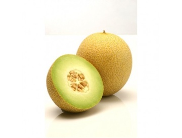 Rachel (100 seminte) de pepene galben tip Ananas, Hazera