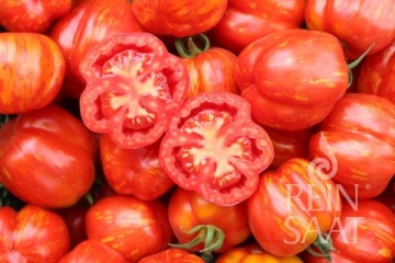 Red Cavern BIO (30 seminte) tomate striate rosu cu galben, carnoase, aromate, ReinSaat - Img 3
