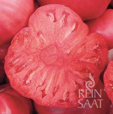 Rosa BIO (20 seminte) tomate foarte mari, ferme, suculente, rezistente la spargere, ReinSaat