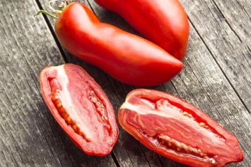 Rosii San Marzano 2 (600 seminte) tomate soi nedeterminat, gustoase, seminte putine, Raci - Img 5