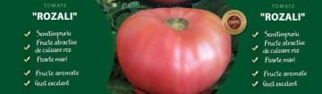 Rozali (300 seminte) tomate soi roz nedeterminat tip gigant, semitimpurii, Florian - Img 3