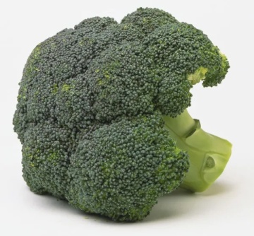 Rumba F1 (30 seminte), broccoli hibrid frantuzesc, capatana verde, densa, Sekluva - Img 2