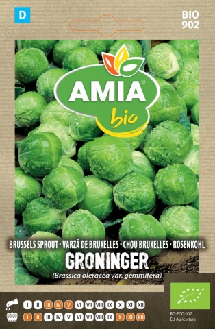 Varza de Bruxelles Groninger BIO (350 seminte) de varza ECO, certificate ecologic, AMIA