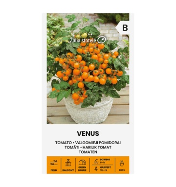 Venus (30 seminte) rosii cherry portocalii, determinate, pentru ghiveci, Seklos