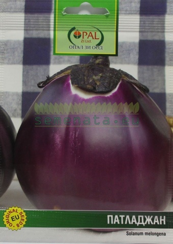 Vinete VIOLET DE FLORENS - 3 gr - Seminte de Vinete Soi semitimpuriu de la Opal - Img 2